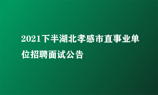 2021下半湖北孝感市直事业单位招聘面试公告