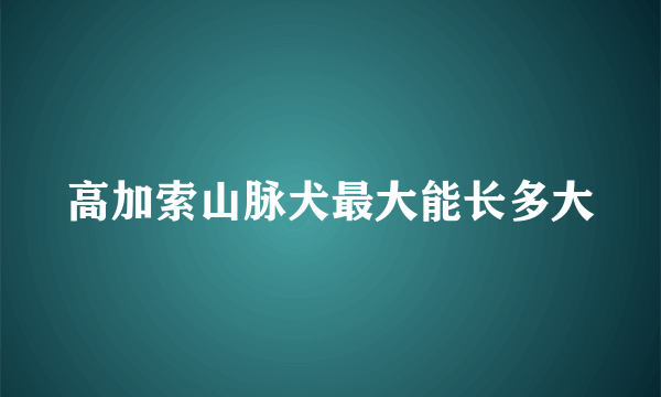 高加索山脉犬最大能长多大