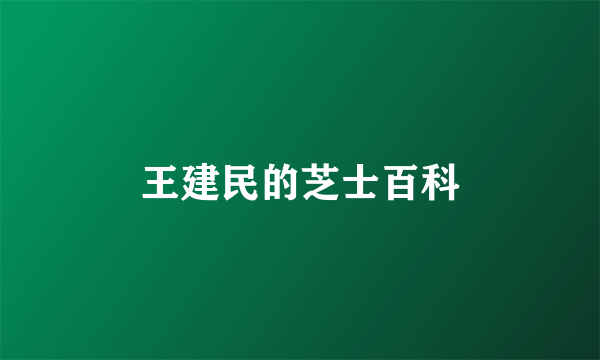 王建民的芝士百科