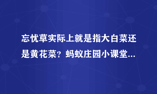忘忧草实际上就是指大白菜还是黄花菜？蚂蚁庄园小课堂4月22日今天答案