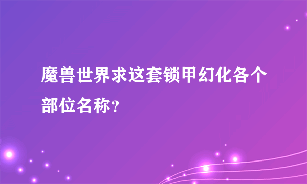 魔兽世界求这套锁甲幻化各个部位名称？