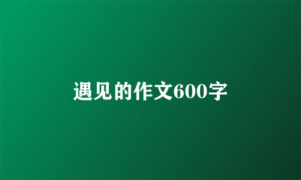 遇见的作文600字