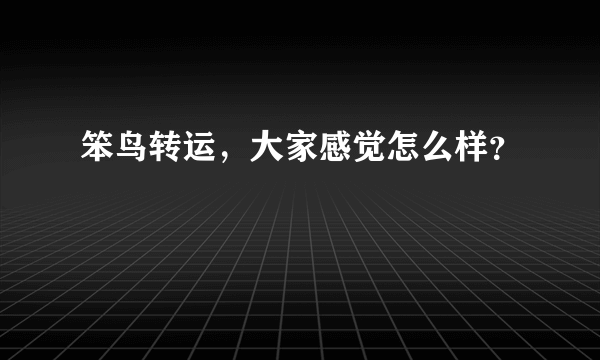 笨鸟转运，大家感觉怎么样？