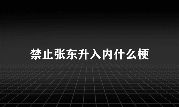 禁止张东升入内什么梗