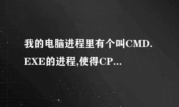 我的电脑进程里有个叫CMD.EXE的进程,使得CPU的使用率一直是100%,怎么使开机不启动这个进程啊?