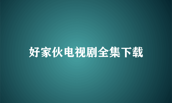 好家伙电视剧全集下载