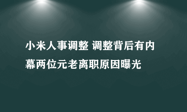 小米人事调整 调整背后有内幕两位元老离职原因曝光