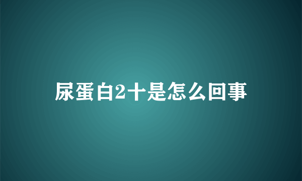 尿蛋白2十是怎么回事