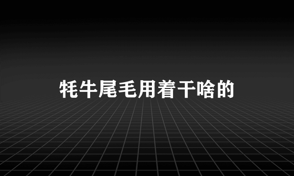 牦牛尾毛用着干啥的