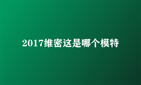 2017维密这是哪个模特