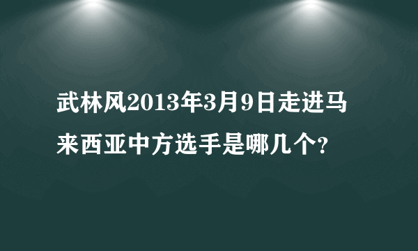 武林风2013年3月9日走进马来西亚中方选手是哪几个？