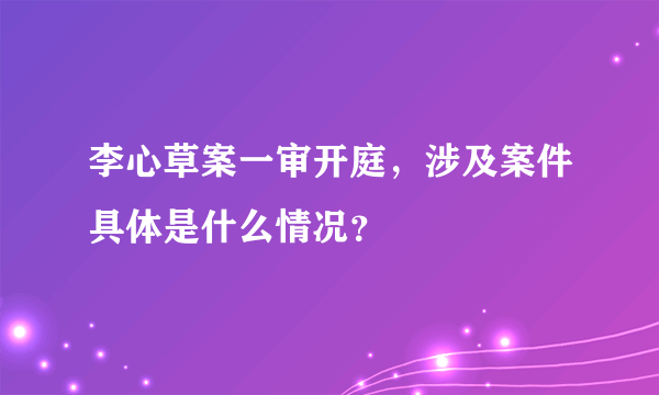 李心草案一审开庭，涉及案件具体是什么情况？
