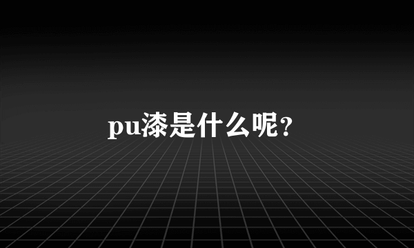 pu漆是什么呢？