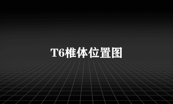 T6椎体位置图