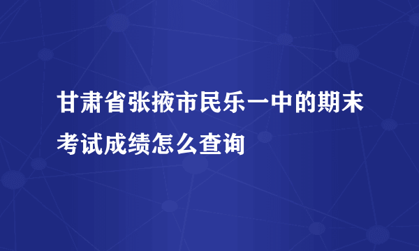 甘肃省张掖市民乐一中的期末考试成绩怎么查询