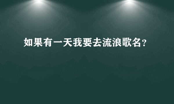 如果有一天我要去流浪歌名？