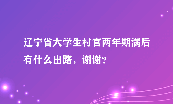辽宁省大学生村官两年期满后有什么出路，谢谢？