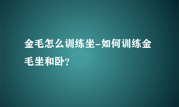 金毛怎么训练坐-如何训练金毛坐和卧？