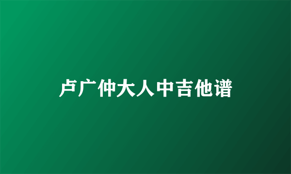 卢广仲大人中吉他谱