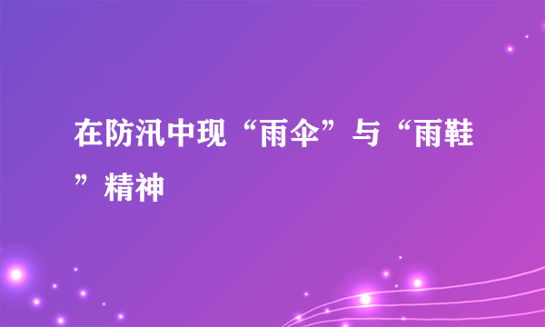 在防汛中现“雨伞”与“雨鞋”精神