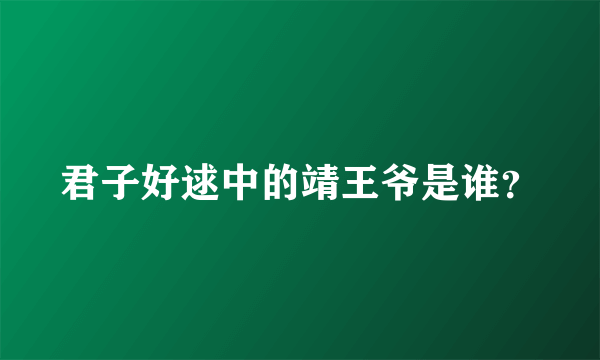 君子好逑中的靖王爷是谁？